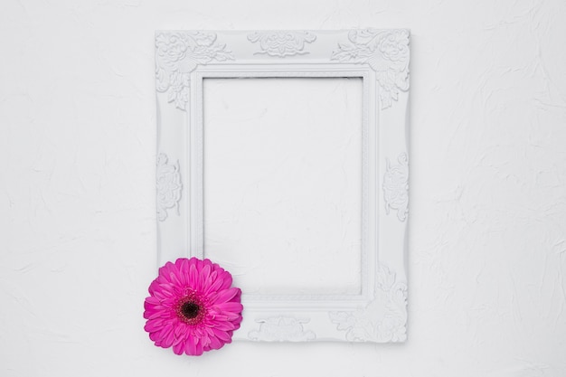 Flat lay of frame with floral concept