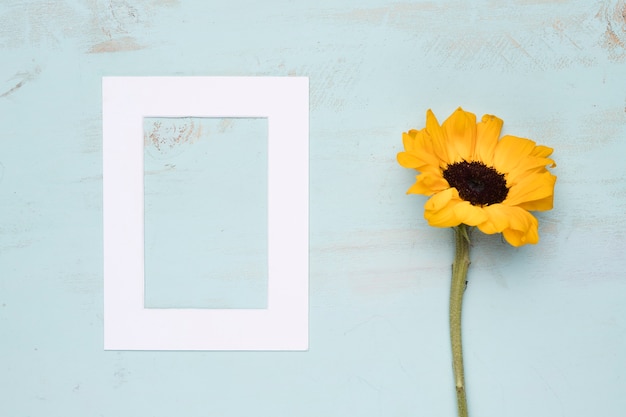 Free photo flat lay of frame with floral concept