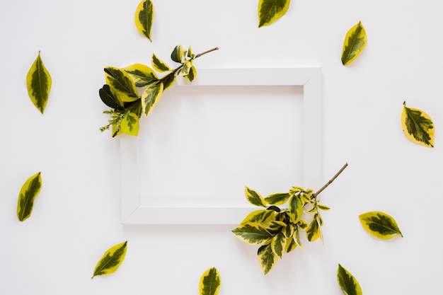 Flat lay of frame with leaves decoration