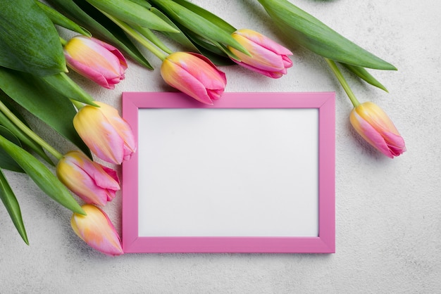 Flat lay frame with pink tulips