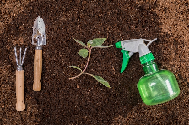 Flat lay gardening compositio