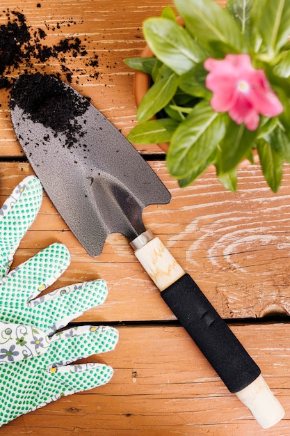 Free Photo flat lay gardening composition on the table