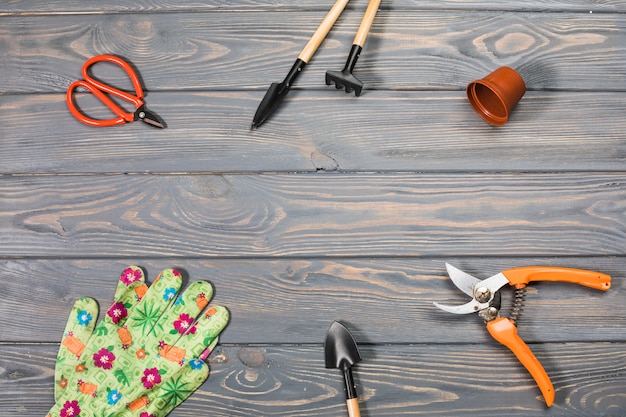 Free Photo flat lay gardening composition