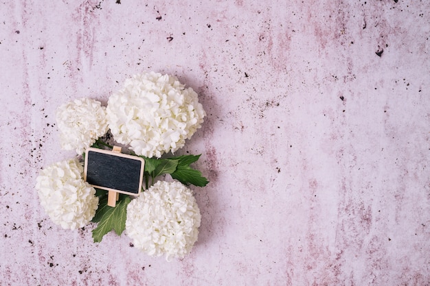 Free Photo flat lay gardening concept with copyspace