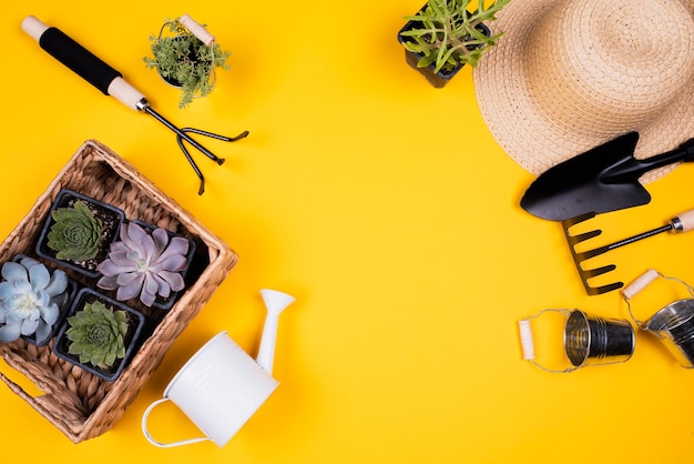 Flat lay of gardening tools and basket with plants