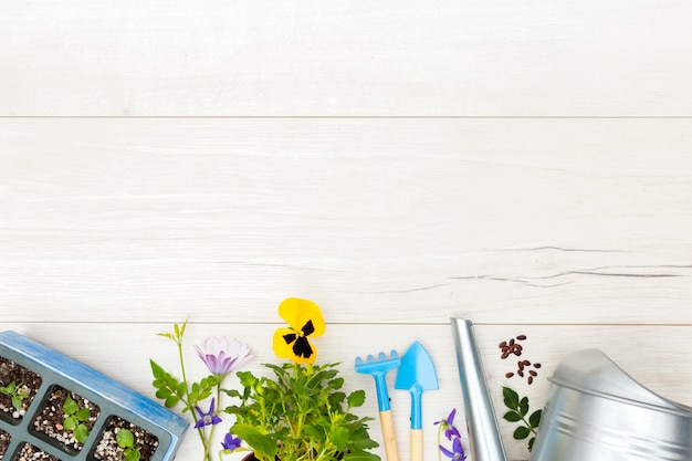 Flat lay gardening tools and plant on wooden background with copy space