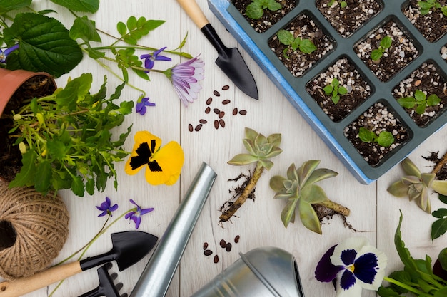 Free Photo flat lay gardening tools and plants on wooden background