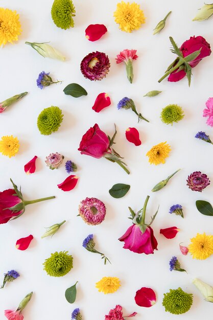 Flat lay of gorgeous flowers arrangement