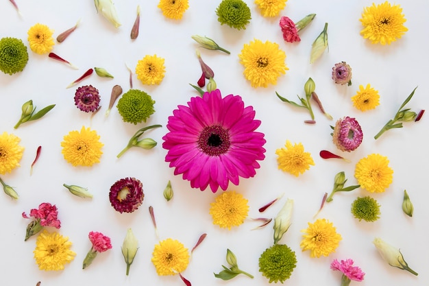 Flat lay of gorgeous flowers arrangement