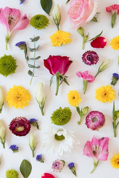 Flat lay of gorgeous flowers arrangement