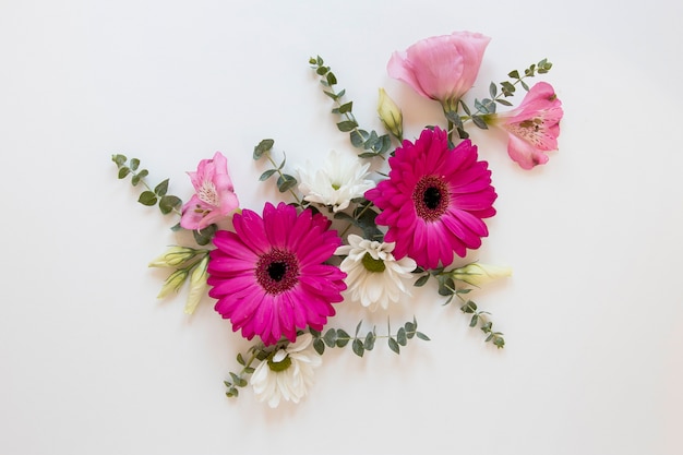 Flat lay of gorgeous flowers assortment