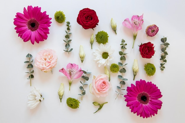 Flat lay of gorgeous flowers assortment