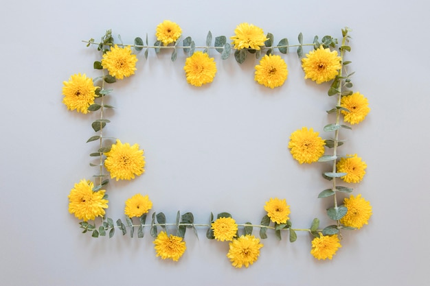 Flat lay of gorgeous flowers assortment