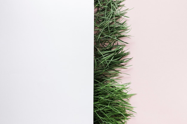 Free photo flat lay of grass with copyspace