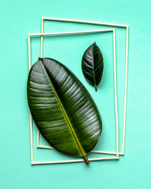 Free photo flat lay green leaves arrangement with frames