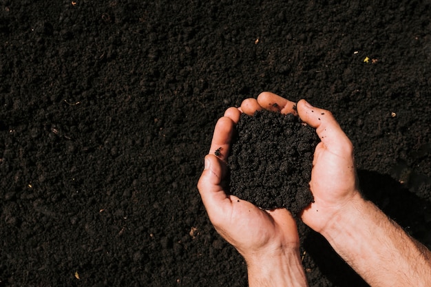 Free Photo flat lay hands holding soil