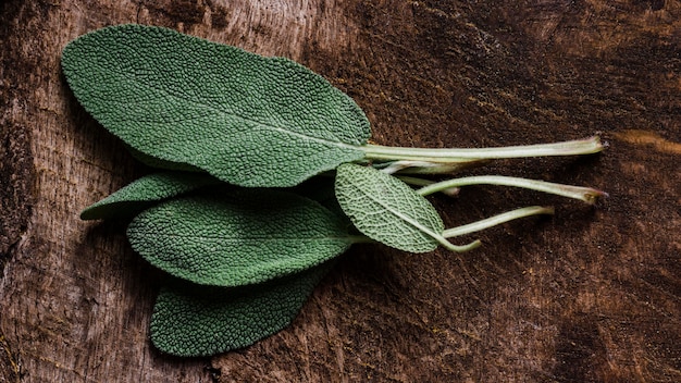 Free photo flat lay leaves on cutting board