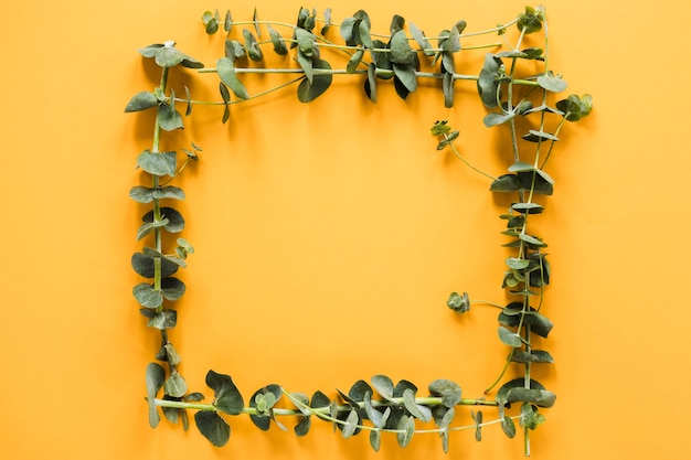 Free photo flat lay of leaves forming a frame