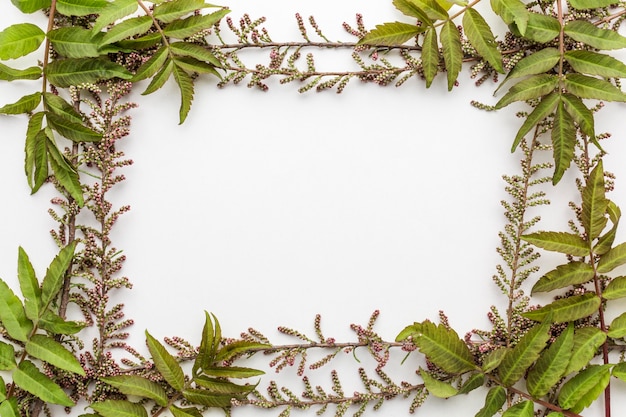 Free photo flat lay of leaves frame with copy space