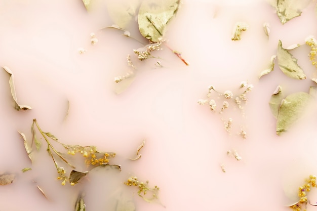 Free photo flat lay leaves in pink colored water