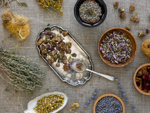 Free Photo flat lay of medicinal herbs and spices