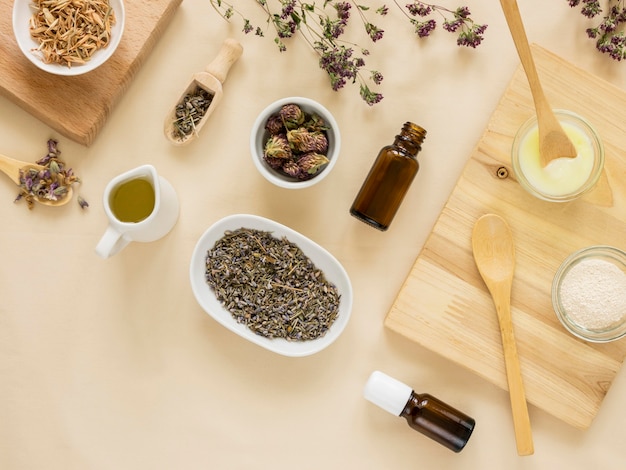 Free photo flat lay of medicinal herbs and spices