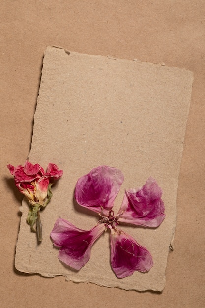 Free Photo flat lay of minimal flowers