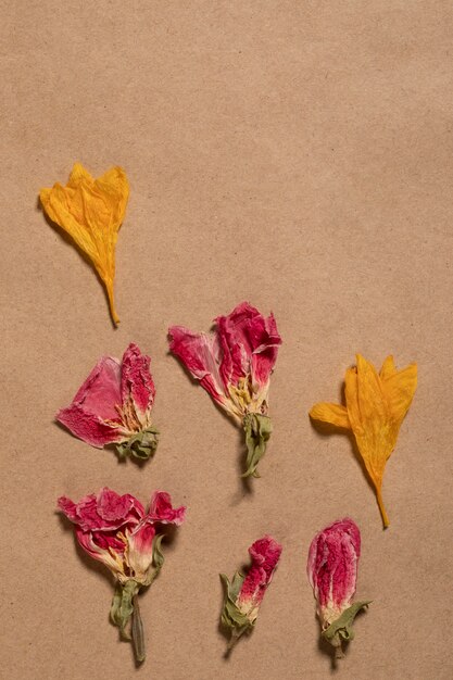 Flat lay of minimal flowers