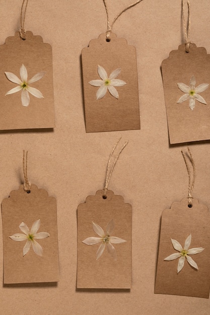 Free photo flat lay of minimal flowers