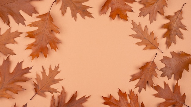 Free photo flat lay of monochromatic leaves with copy space