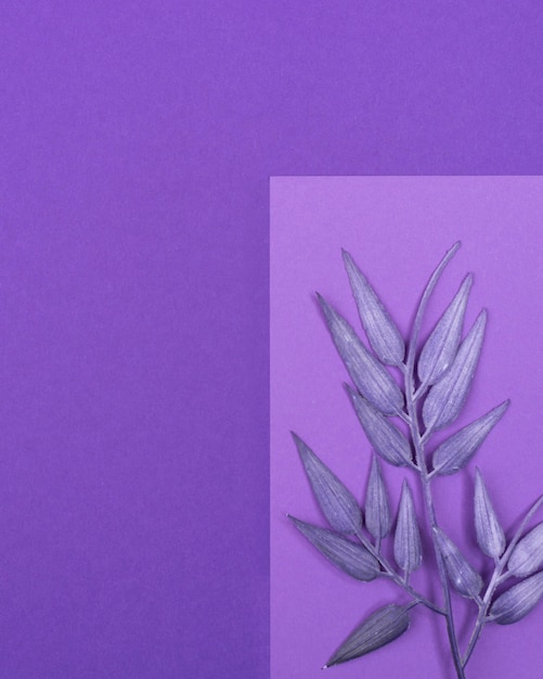 Free Photo flat lay of monochromatic leaves with copy space