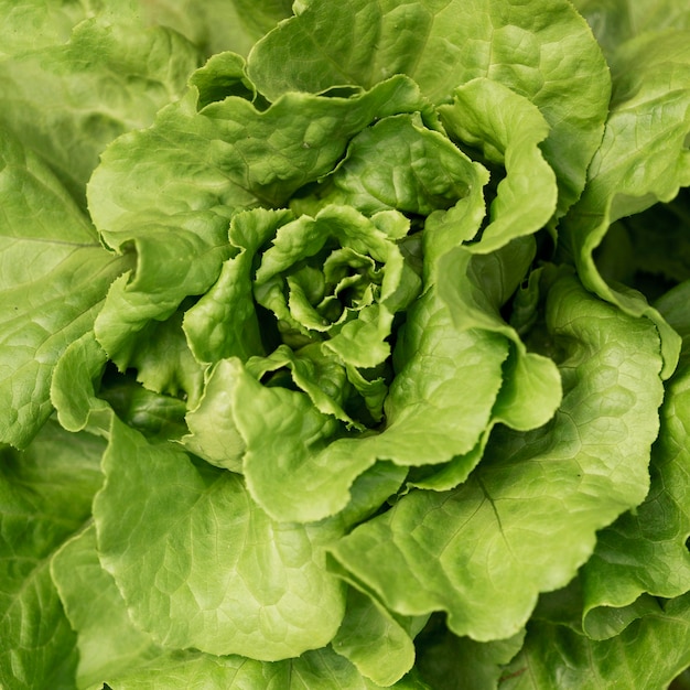 Free photo flat lay natural salad