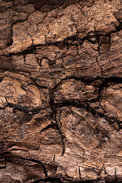 Flat lay natural wooden texture