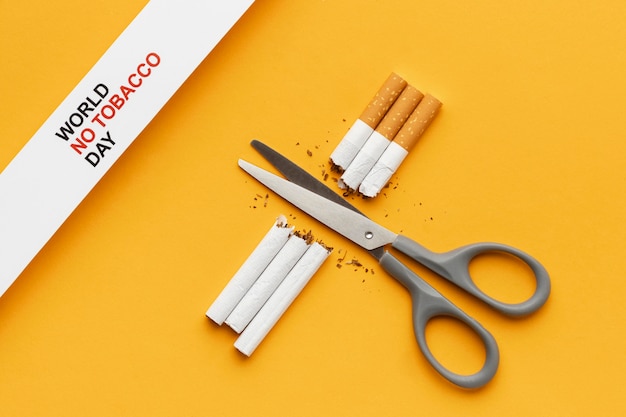 Free photo flat lay no tobacco day elements arrangement