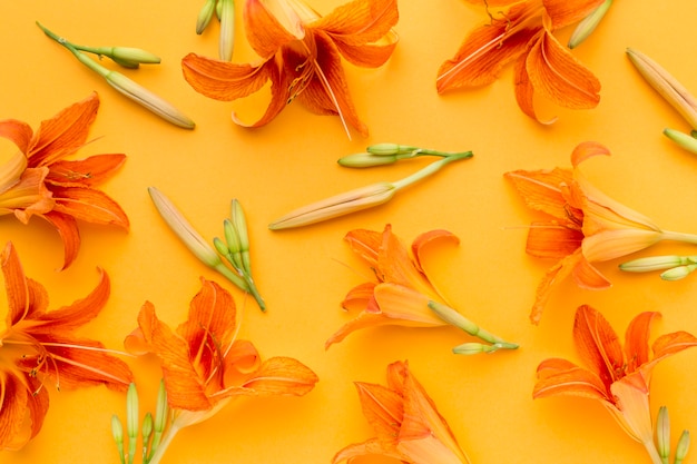 Free photo flat lay orange lilies arrangement