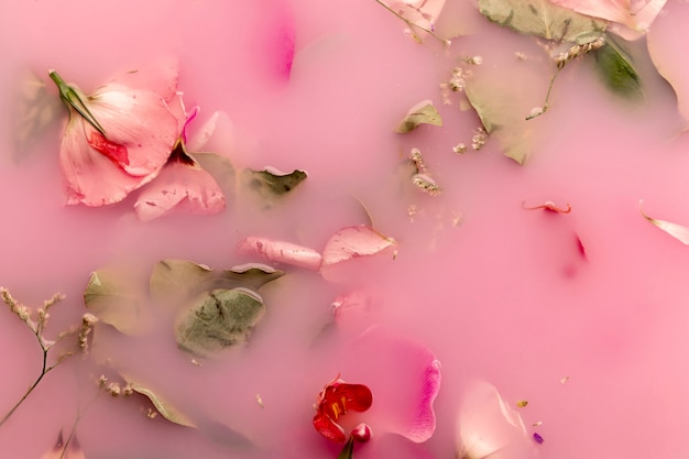 Flat lay orchids and roses in pink colored water