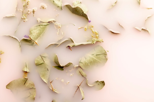 Free Photo flat lay pale leaves in pink colored water