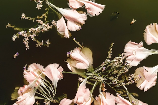 Free Photo flat lay pale pink flowers in black water