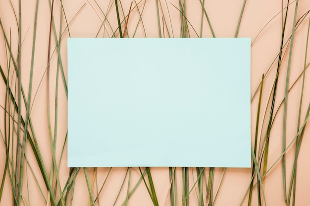 Flat lay of paper card template with leaves