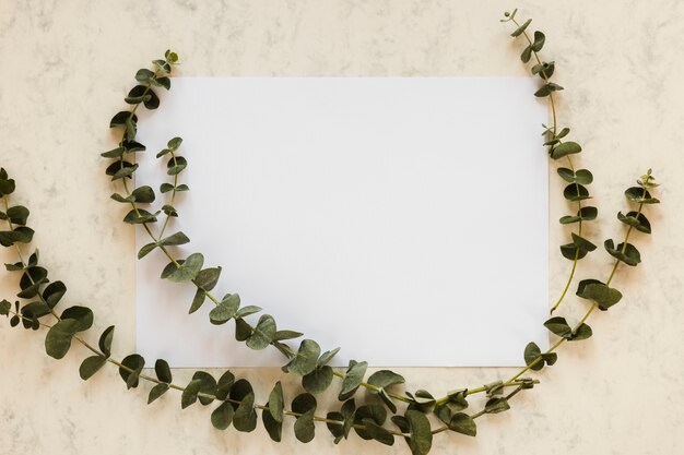 Flat lay of paper card template with leaves