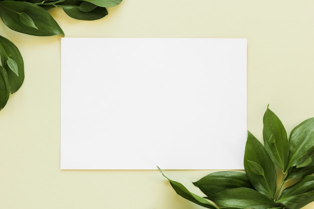 Flat lay of paper card template with leaves