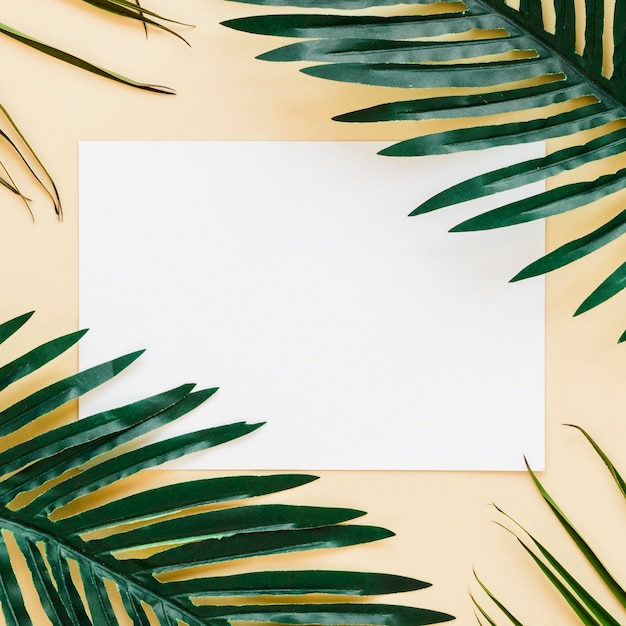 Free photo flat lay of paper card template with leaves