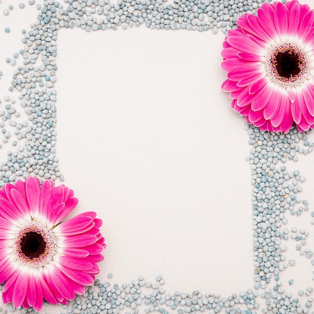 Free photo flat lay pink daisies and pebbles arrangement