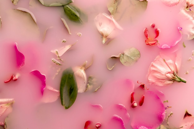 Flat lay pink flowers in pink colored water