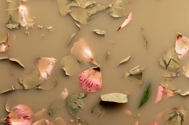 Flat lay pink petals and leaves in brown water