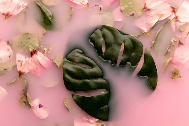 Free Photo flat lay pink petals and leaves in pink colored water