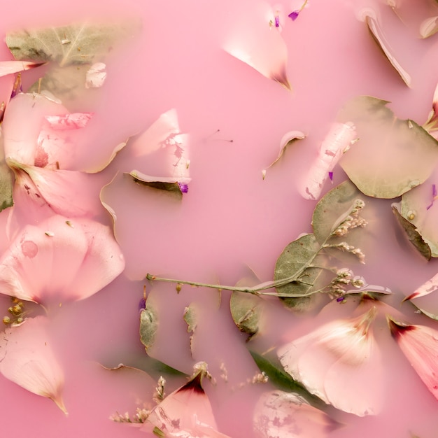 Free photo flat lay pink petals in pink colored water