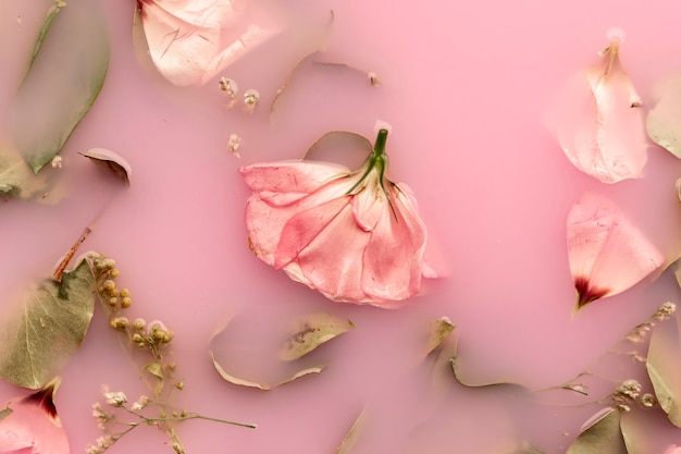 Free Photo flat lay pink roses in pink colored water