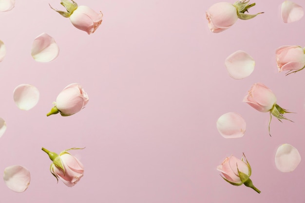 Free Photo flat lay of pink spring roses with copy space