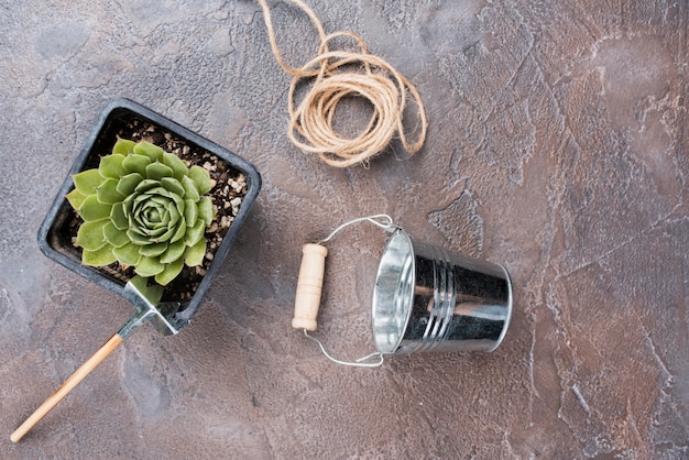 Free Photo flat lay of plant and gardening tools